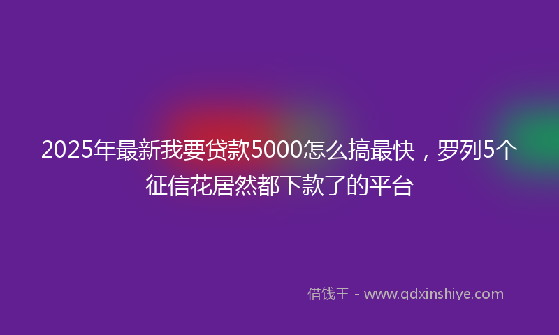 2025年最新我要贷款5000怎么搞最快，罗列5个征信花居然都下款了的平台