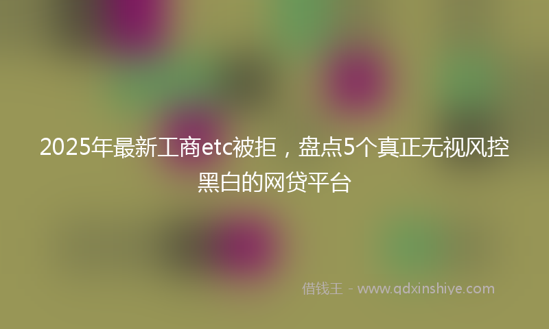 2025年最新工商etc被拒，盘点5个真正无视风控黑白的网贷平台