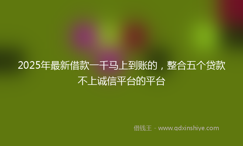 2025年最新借款一千马上到账的，整合五个贷款不上诚信平台的平台