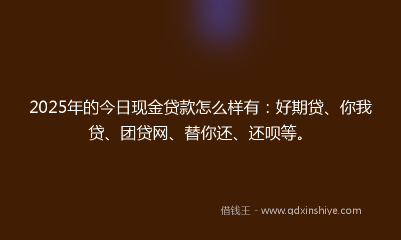 2025年的今日现金贷款怎么样有：好期贷、你我贷、团贷网、替你还、还呗等。