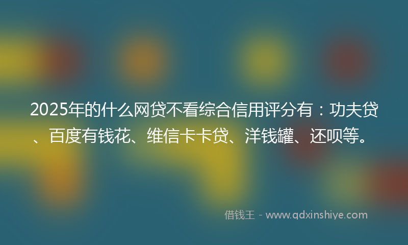 2025年的什么网贷不看综合信用评分有：功夫贷、百度有钱花、维信卡卡贷、洋钱罐、还呗等。