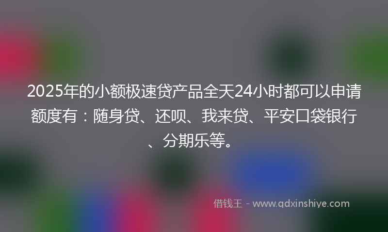 2025年的小额极速贷产品全天24小时都可以申请额度有：随身贷、还呗、我来贷、平安口袋银行、分期乐等。