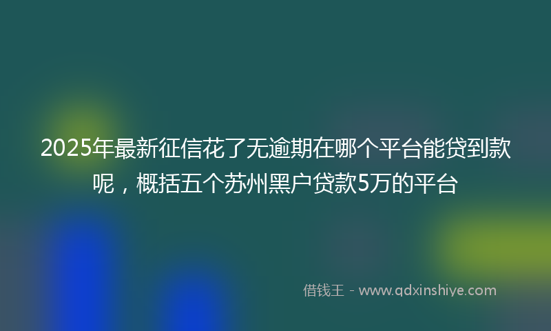 2025年最新征信花了无逾期在哪个平台能贷到款呢，概括五个苏州黑户贷款5万的平台