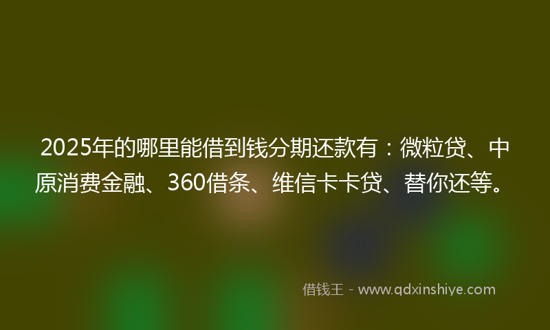 2025年的哪里能借到钱分期还款有：微粒贷、中原消费金融、360借条、维信卡卡贷、替你还等。