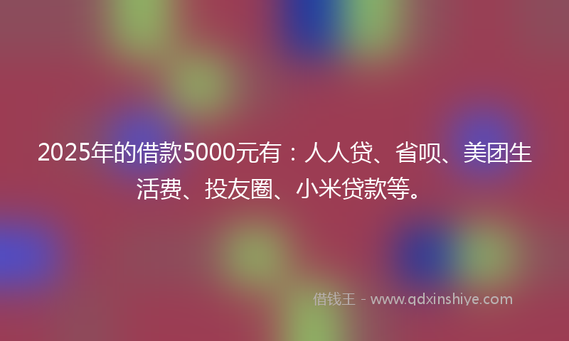 2025年的借款5000元有：人人贷、省呗、美团生活费、投友圈、小米贷款等。
