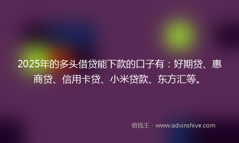 2025年的多头借贷能下款的口子有：好期贷、惠商贷、信用卡贷、小米贷款、东方汇等。