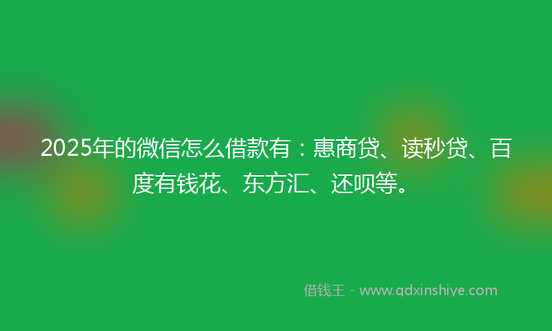2025年的微信怎么借款有：惠商贷、读秒贷、百度有钱花、东方汇、还呗等。