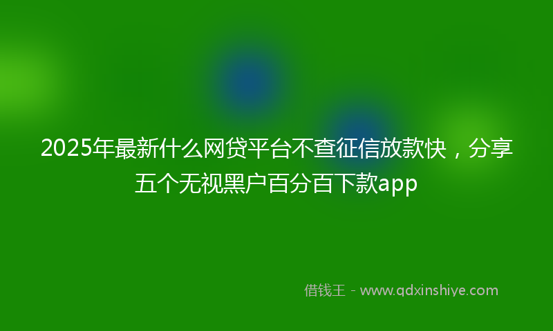 2025年最新什么网贷平台不查征信放款快，分享五个无视黑户百分百下款app