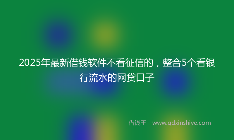 2025年最新借钱软件不看征信的，整合5个看银行流水的网贷口子
