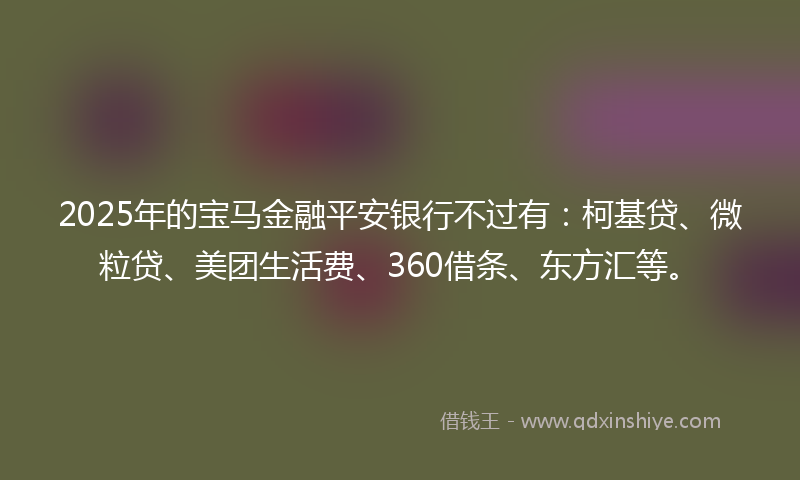 2025年的宝马金融平安银行不过有：柯基贷、微粒贷、美团生活费、360借条、东方汇等。