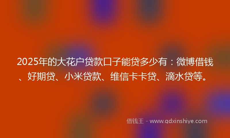 2025年的大花户贷款口子能贷多少有：微博借钱、好期贷、小米贷款、维信卡卡贷、滴水贷等。