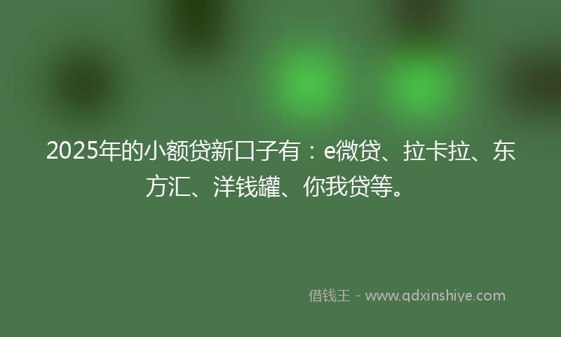 2025年的小额贷新口子有：e微贷、拉卡拉、东方汇、洋钱罐、你我贷等。