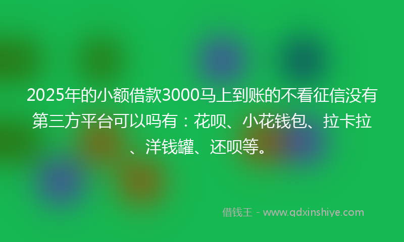 2025年的小额借款3000马上到账的不看征信没有第三方平台可以吗有：花呗、小花钱包、拉卡拉、洋钱罐、还呗等。
