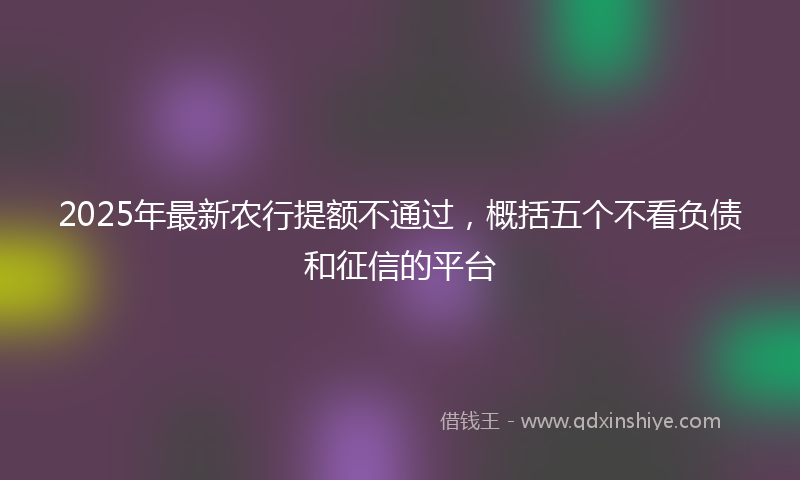 2025年最新农行提额不通过，概括五个不看负债和征信的平台