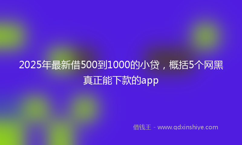 2025年最新借500到1000的小贷，概括5个网黑真正能下款的app