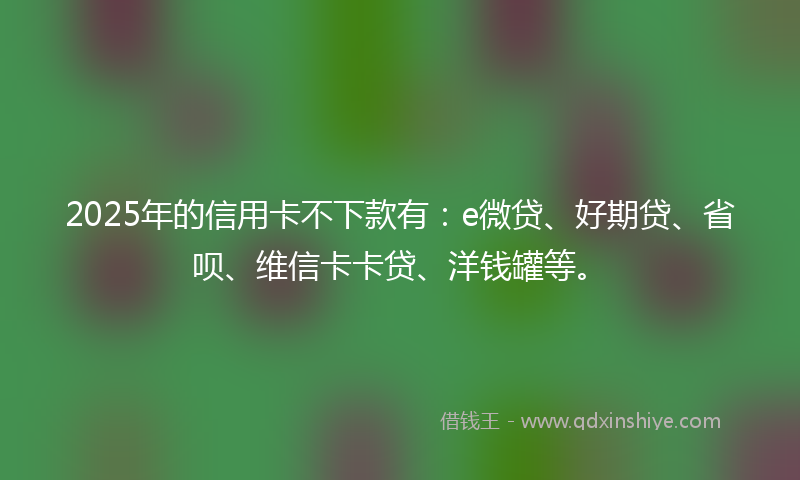 2025年的信用卡不下款有：e微贷、好期贷、省呗、维信卡卡贷、洋钱罐等。