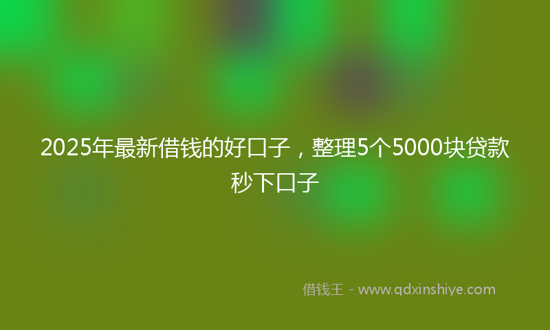2025年最新借钱的好口子，整理5个5000块贷款秒下口子