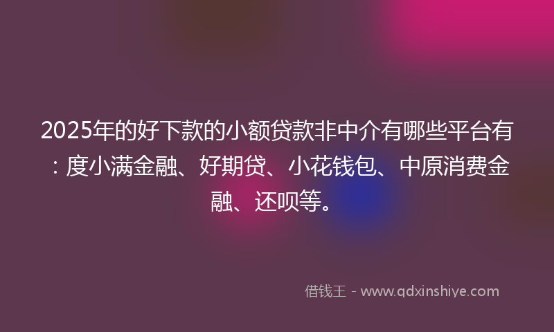 2025年的好下款的小额贷款非中介有哪些平台有：度小满金融、好期贷、小花钱包、中原消费金融、还呗等。