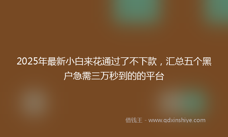 2025年最新小白来花通过了不下款，汇总五个黑户急需三万秒到的的平台
