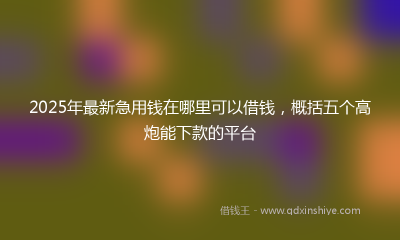 2025年最新急用钱在哪里可以借钱，概括五个高炮能下款的平台