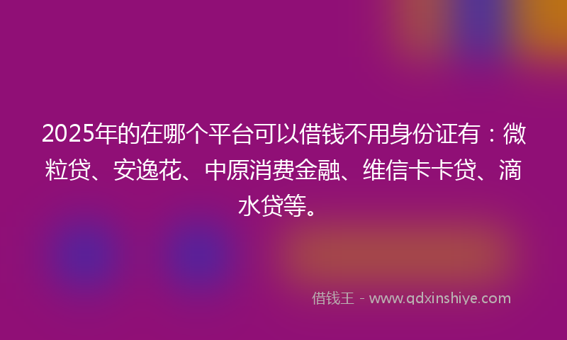 2025年的在哪个平台可以借钱不用身份证有：微粒贷、安逸花、中原消费金融、维信卡卡贷、滴水贷等。