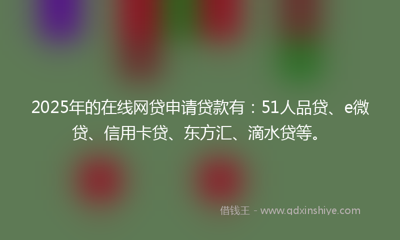 2025年的在线网贷申请贷款有：51人品贷、e微贷、信用卡贷、东方汇、滴水贷等。