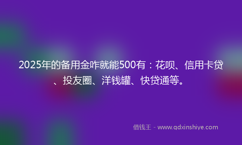 2025年的备用金咋就能500有：花呗、信用卡贷、投友圈、洋钱罐、快贷通等。