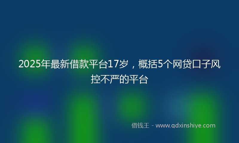 2025年最新借款平台17岁，概括5个网贷口子风控不严的平台