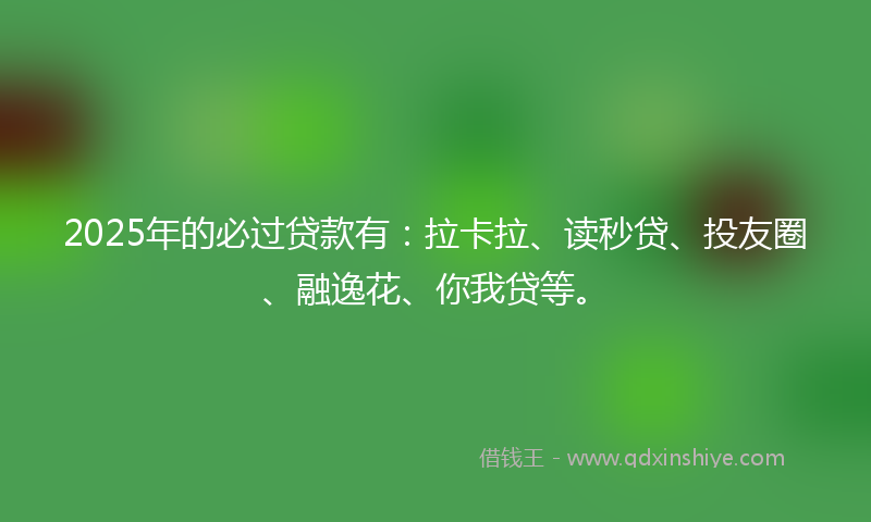 2025年的必过贷款有：拉卡拉、读秒贷、投友圈、融逸花、你我贷等。