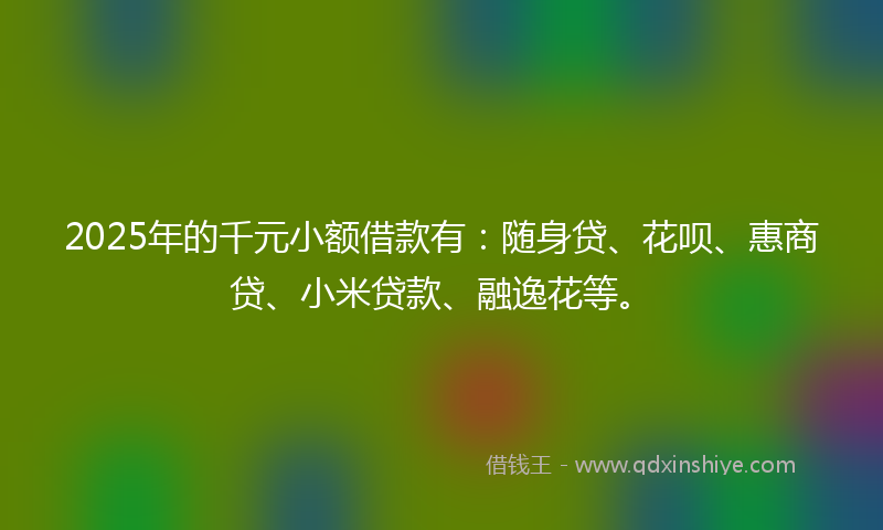 2025年的千元小额借款有：随身贷、花呗、惠商贷、小米贷款、融逸花等。