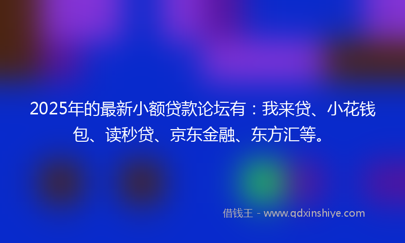 2025年的最新小额贷款论坛有：我来贷、小花钱包、读秒贷、京东金融、东方汇等。