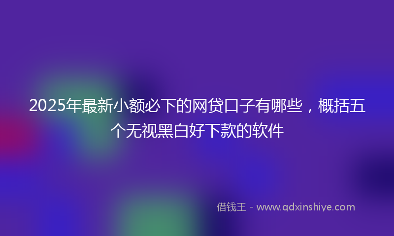 2025年最新小额必下的网贷口子有哪些，概括五个无视黑白好下款的软件