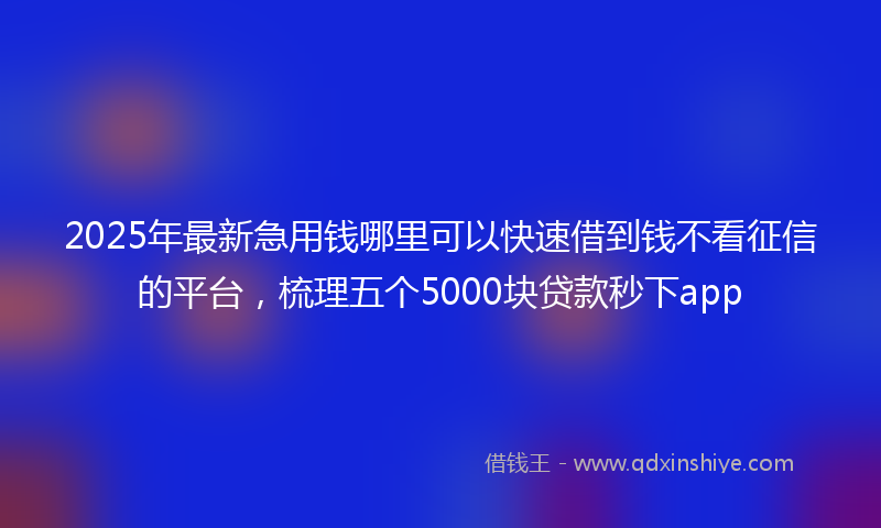 2025年最新急用钱哪里可以快速借到钱不看征信的平台，梳理五个5000块贷款秒下app
