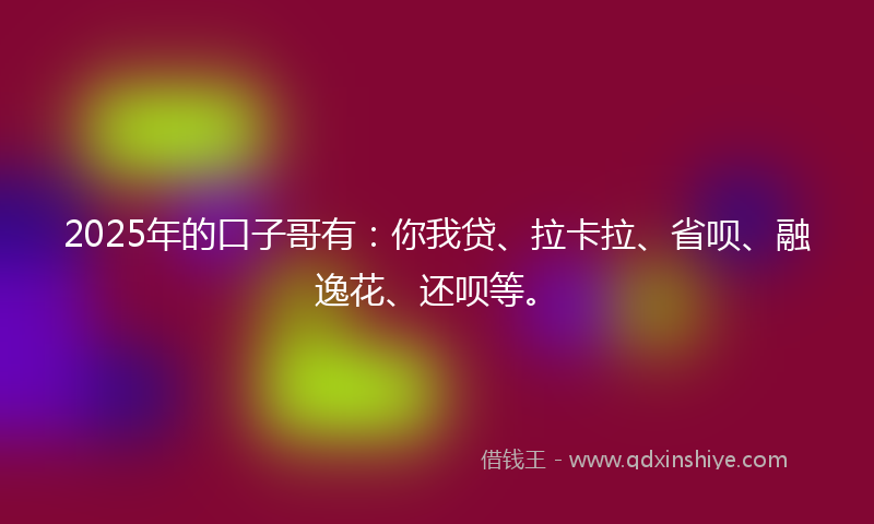 2025年的口子哥有：你我贷、拉卡拉、省呗、融逸花、还呗等。