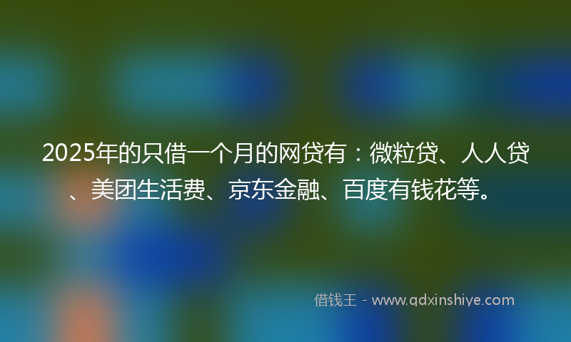 2025年的只借一个月的网贷有：微粒贷、人人贷、美团生活费、京东金融、百度有钱花等。