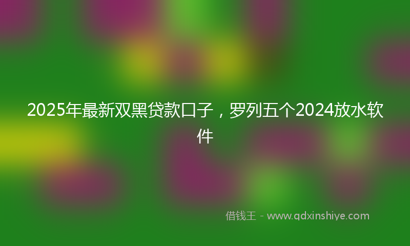 2025年最新双黑贷款口子，罗列五个2024放水软件