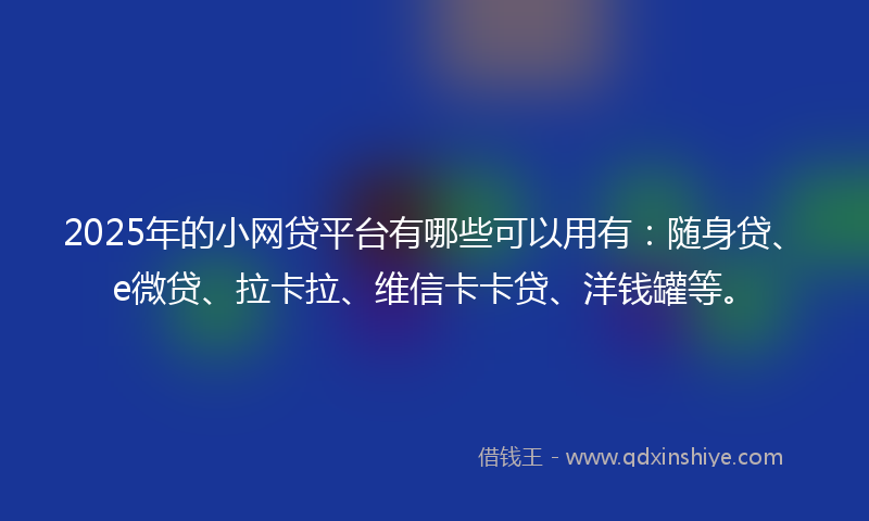 2025年的小网贷平台有哪些可以用有：随身贷、e微贷、拉卡拉、维信卡卡贷、洋钱罐等。