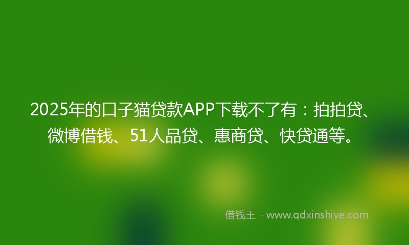 2025年的口子猫贷款APP下载不了有：拍拍贷、微博借钱、51人品贷、惠商贷、快贷通等。