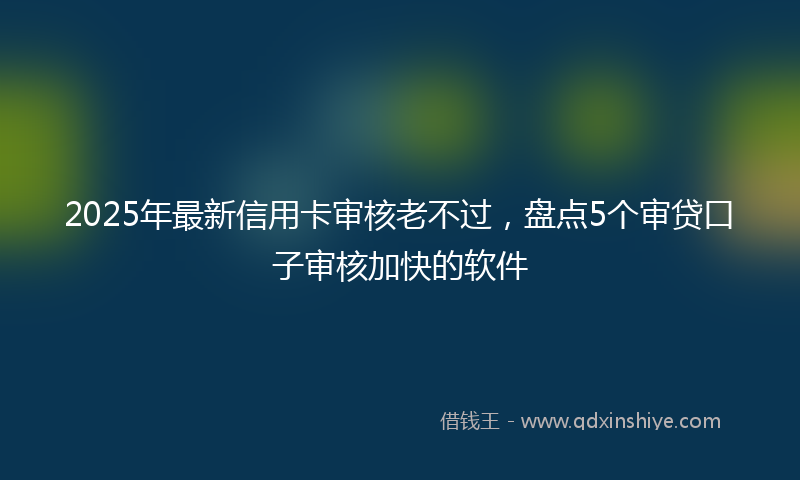 2025年最新信用卡审核老不过，盘点5个审贷口子审核加快的软件