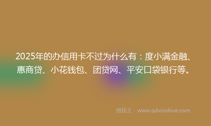 2025年的办信用卡不过为什么有：度小满金融、惠商贷、小花钱包、团贷网、平安口袋银行等。