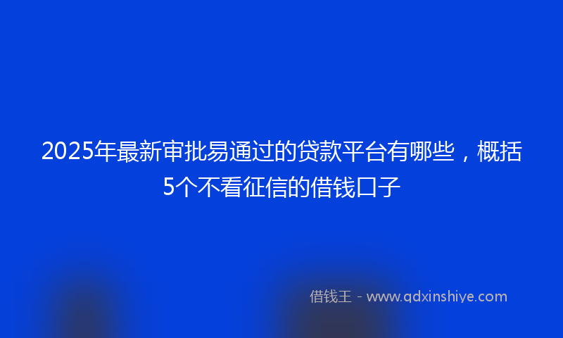 2025年最新审批易通过的贷款平台有哪些，概括5个不看征信的借钱口子