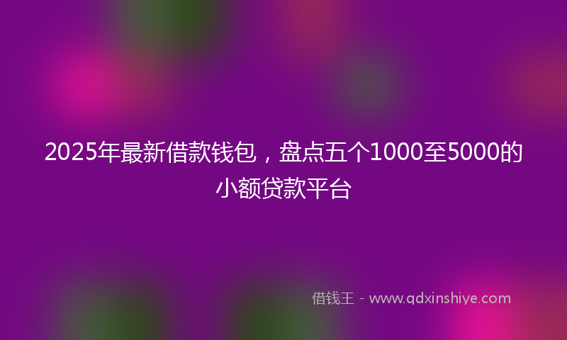 2025年最新借款钱包，盘点五个1000至5000的小额贷款平台
