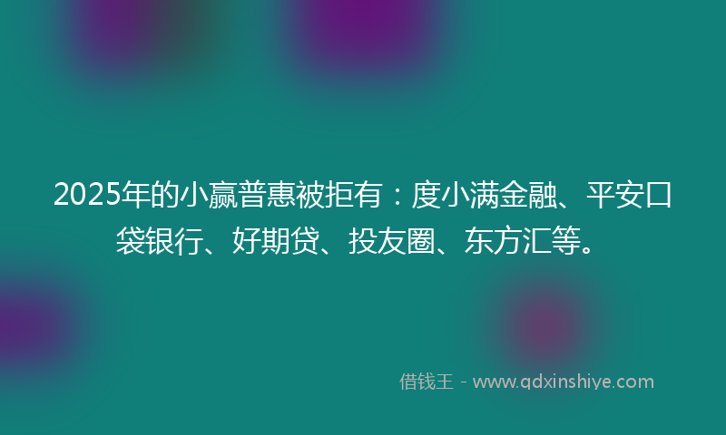 2025年的小赢普惠被拒有：度小满金融、平安口袋银行、好期贷、投友圈、东方汇等。