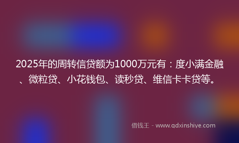 2025年的周转信贷额为1000万元有：度小满金融、微粒贷、小花钱包、读秒贷、维信卡卡贷等。