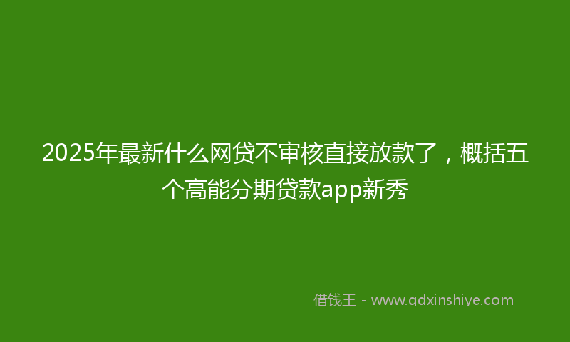 2025年最新什么网贷不审核直接放款了，概括五个高能分期贷款app新秀