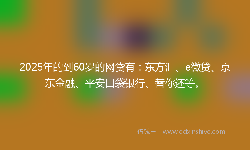 2025年的到60岁的网贷有：东方汇、e微贷、京东金融、平安口袋银行、替你还等。