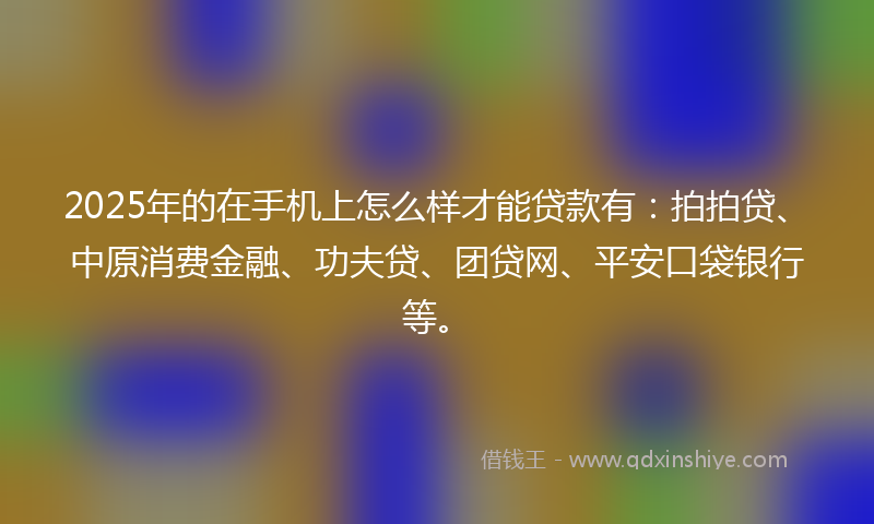 2025年的在手机上怎么样才能贷款有：拍拍贷、中原消费金融、功夫贷、团贷网、平安口袋银行等。