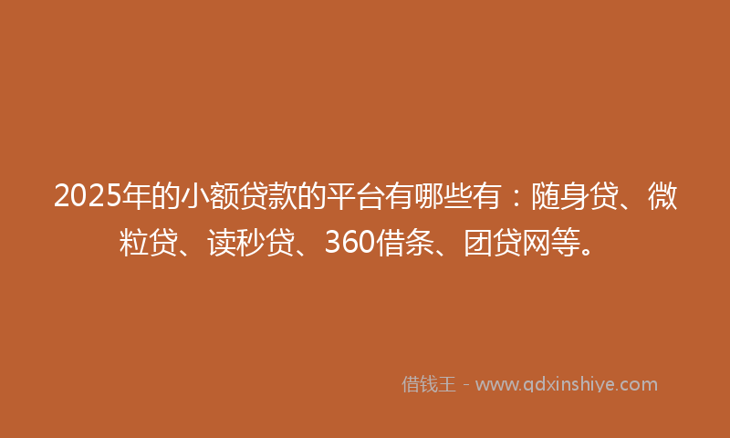 2025年的小额贷款的平台有哪些有：随身贷、微粒贷、读秒贷、360借条、团贷网等。