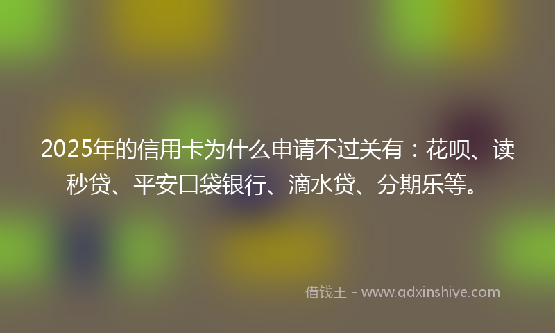 2025年的信用卡为什么申请不过关有：花呗、读秒贷、平安口袋银行、滴水贷、分期乐等。