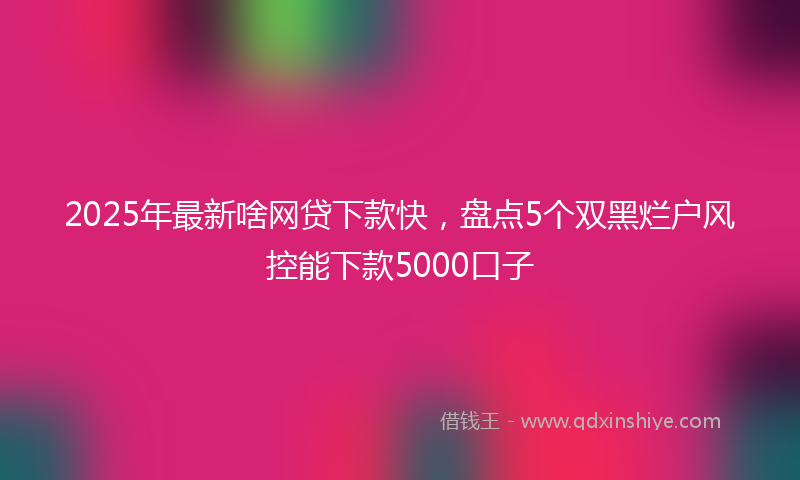 2025年最新啥网贷下款快，盘点5个双黑烂户风控能下款5000口子